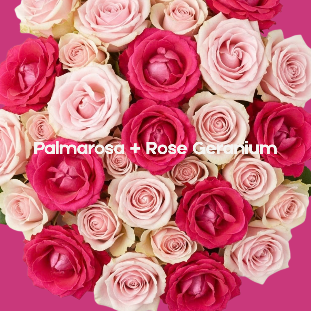 Bloom Shakalaka - Palmarosa + Rose Geranium