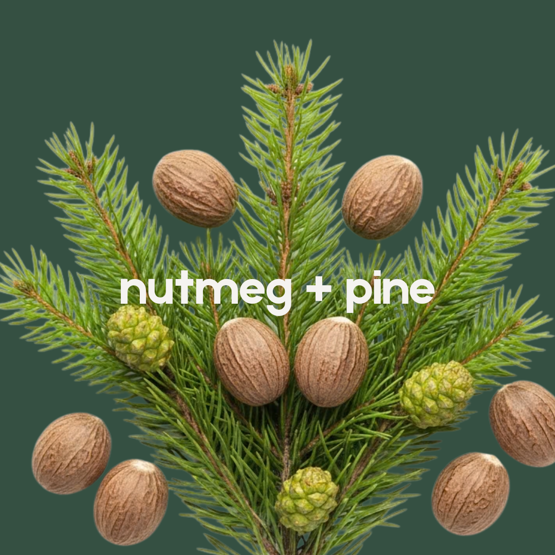 Fir Real - Pine + Nutmeg